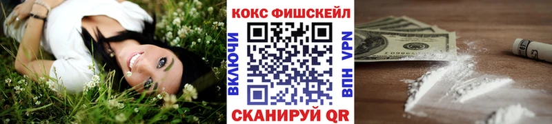 Cocaine FishScale Пойковский