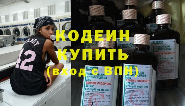 прущие грибы Ладушкин