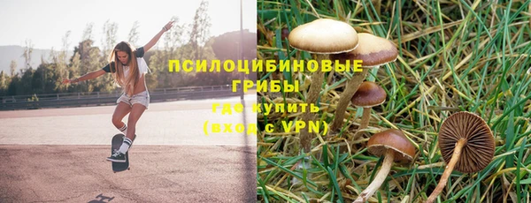 прущие грибы Ладушкин