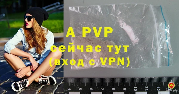 прущие грибы Ладушкин