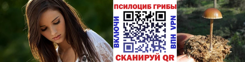 Галлюциногенные грибы Cubensis  где продают наркотики  Пойковский 
